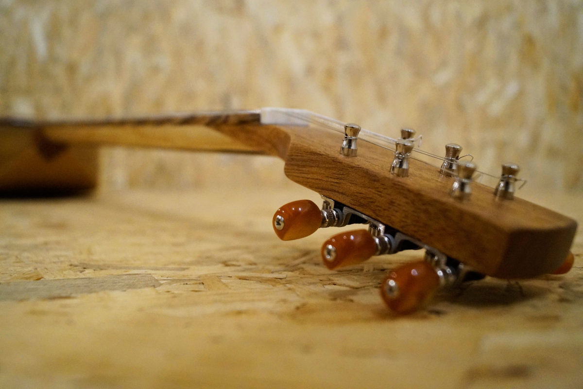 unusual stringed instruments