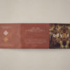 Odyssey, Compilation Two by SEIKILO Channel - Loudovikos ton Anogeion, Thanasis Kleopas, Shingo Ali Masuda, Lina Palera, Yannis Pantazis, Theodoros Koumartzis, Giorgio Sancristoforo, Evagoras Bekiaris, Thanos Stavridis, Lorena Atrakzy, Claire Fontanille, Dimitra Kandia, Angela Monaco, Saraï O’gara, Johanna Schlottke, and Artemis Agathopoulou. - Supreme Sound, Premium Music Albums - SEIKILO Ancient World Music YouTube Channel - Supported by LUTHIEROS & Koumartzis family